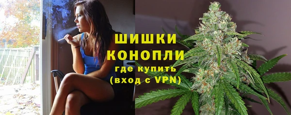 гидропоника Богородицк