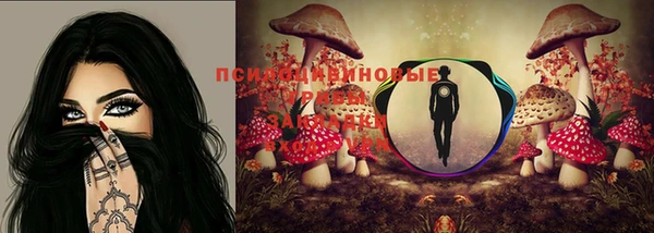 стафф Верея
